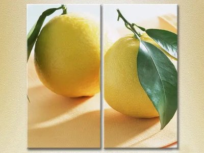 Модульные картины Два лимона Eda9418 фото