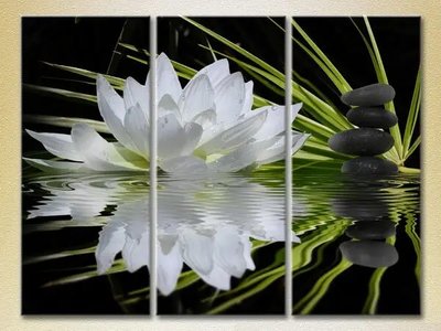 Модульные картины Водяная лилия и массажные камни TSv9768 фото