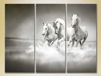 Модульные картины Три белых коня ZHi10468 фото