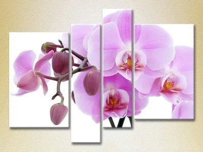Модульные картины Орхидеи сиреневые с бутонами_02 TSv7718 фото