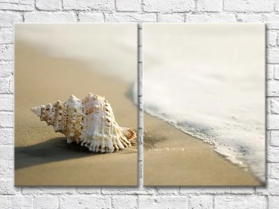 Диптих Большая ракушка на берегу и волны Mor8168 фото