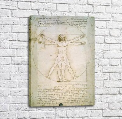 Pictura Omul Vitruvian, Da Vinci Leo14219 фото