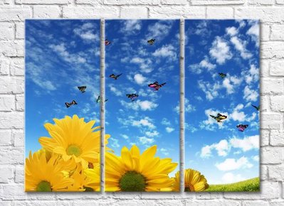Flori de floarea soarelui și fluturi pe cer TSv5619 фото