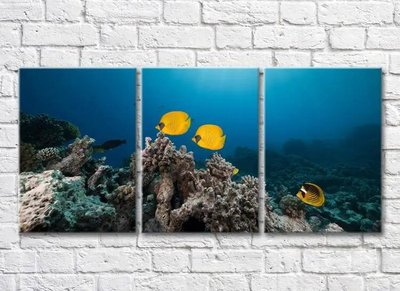 Триптих Желтые рыбки плавущие в море Mor10119 фото