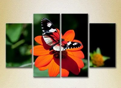 Модульные картины Бабочка на цветке_03 ZHi9269 фото