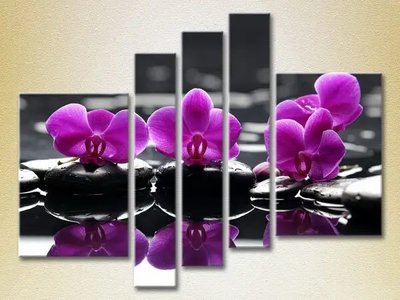 Модульные картины Фиолетовые орхидеи на камнях_01 TSv8469 фото