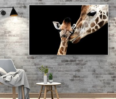Mama și puiul de girafă pe fundal negru ZHi14570 фото