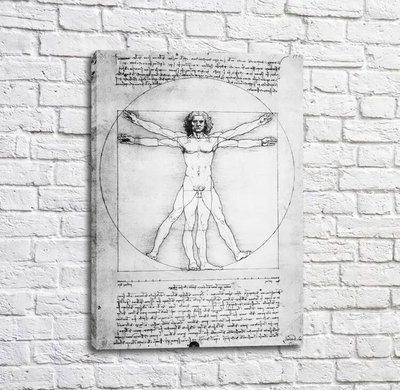 Pictură Omul Vitruvian, Leonardo Da Vinci Leo14170 фото