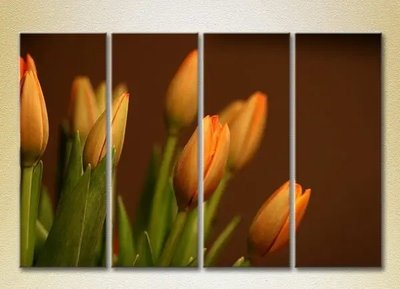 Модульные картины Тюльпаны TSv7970 фото