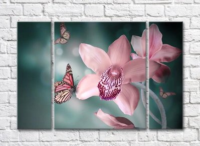 Flori de orhidee roz și fluturi pe un fundal de smarald TSv5670 фото