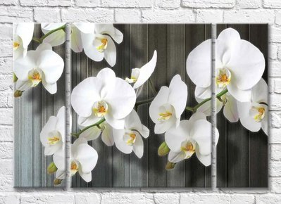 Триптих Ветка белой орхидеи на сером дощатом фоне 3D7820 фото