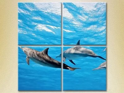 Модульные картины Стая дельфинов ZHi9270 фото