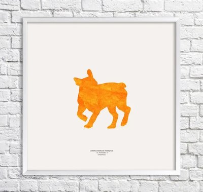 Poster Bulldog. fundal portocaliu Min15790 фото