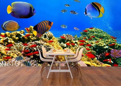 Фотообои Разноцветные рыбки и кораллы на глубине моря Pod2371 фото