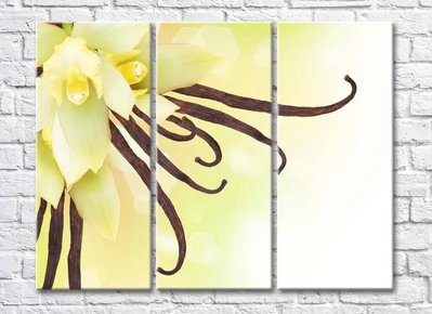 Flori și bastoane de vanilie TSv5621 фото
