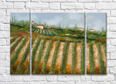 Триптих Vineyards In The Hills 008_1 Pro10271 фото