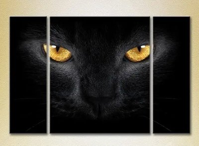 Модульные картины Глаза черной кошки ZHi9971 фото