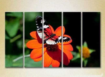 Модульные картины Бабочка на цветке_07 ZHi9821 фото