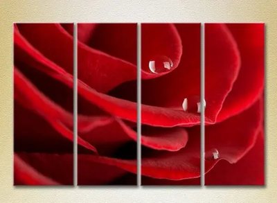 Tablouri modulare Picături pe un trandafir roșu_05 TSv8021 фото