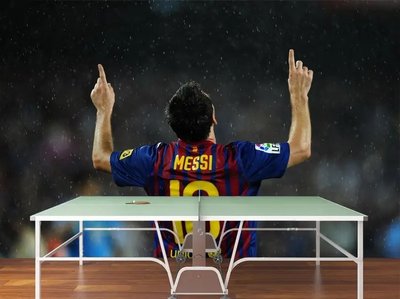 Fototapet Fotbalist Lionel Messi pe stadion Spo2921 фото