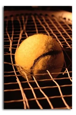 ФотоПостер Теннисный мяч и порванные струны Ten19163 фото