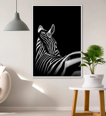 Zebră, monocromă, pe fond negru ZHi14573 фото