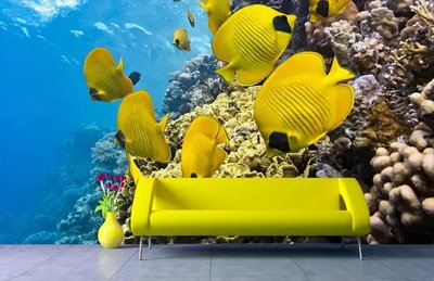Фотообои Желтые рыбки на коралловых рифах Pod2372 фото