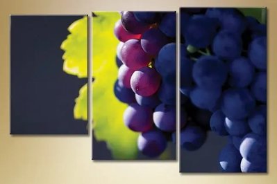 Модульные картины виноград Eda8572 фото