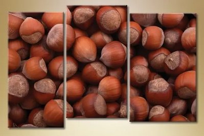 Модульные картины орех-лесной Eda8522 фото