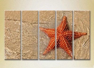 Модульные картины Морская звезда на берегу_02 Mor7422 фото