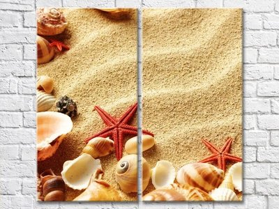 Diptic Scoici și stele de mare pe o plajă de nisip Mor8272 фото