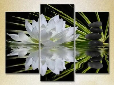 Модульные картины Водяная лилия и массажные камни_02 TSv9772 фото
