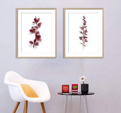 Бордовые комнатные растения на белом фоне Flo14673 фото