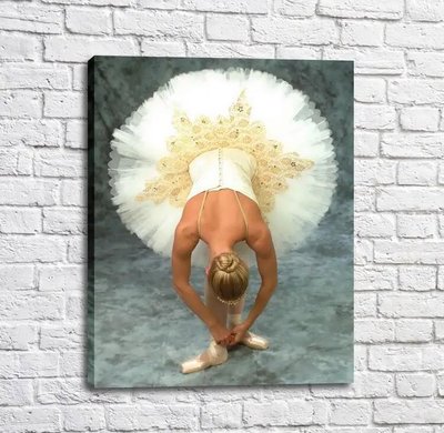 Afiș Balerina în tutu alb care leagă pantofi, dansând Tan18180 фото