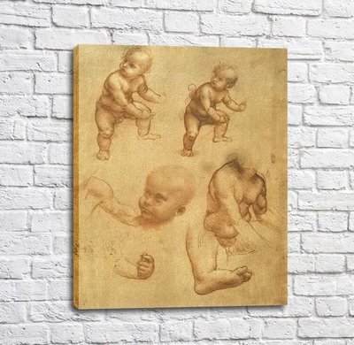 Pictura Schița bebelușului, Da Vinci Leo14173 фото