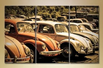 Модульные картины Volkswagen Beetle TCH6673 фото