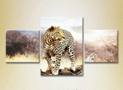 Модульные картины Леопард на бревне ZHi10523 фото