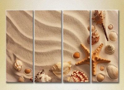 Модульные картины Ракушки в песке Mor9073 фото