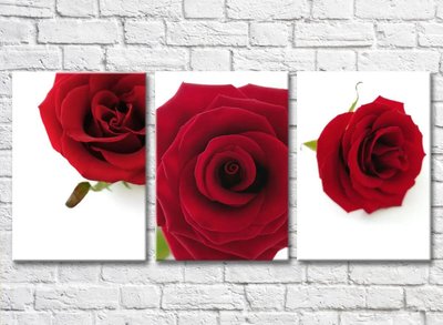 Триптих из цветков красых роз TSv5723 фото