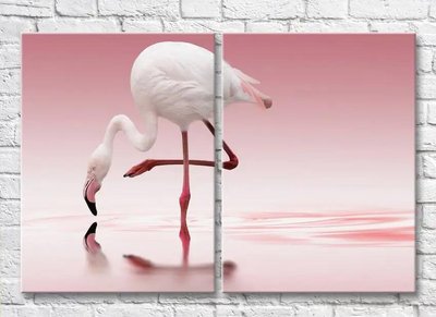 Diptic Flamingo alb pe fundalul unui iaz roz ZHi9674 фото