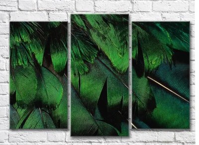 Триптих Зеленые перья птиц Abs7274 фото