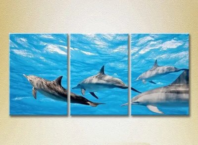Imagini modulare Stolă de delfini ZHi10474 фото