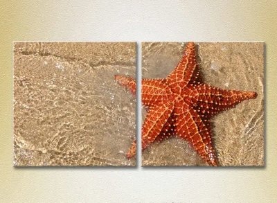 Модульные картины Морская звезда на берегу Mor7874 фото