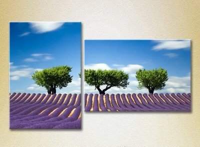 Модульные картины Три дерева в лавандовом поле Pri9774 фото