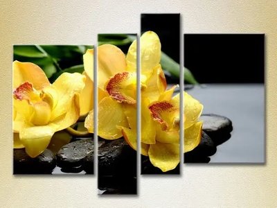 Модульные картины Желтые орхидеи на камнях TSv8024 фото