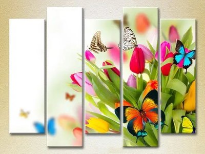 Модульные картины Тюльпаны и бабочки_03 TSv8474 фото