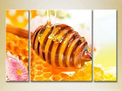 Модульные картины Мёд в сотах Eda10724 фото