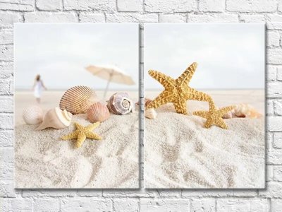 Диптих Ракушки и морские звезды в песке Mor8224 фото