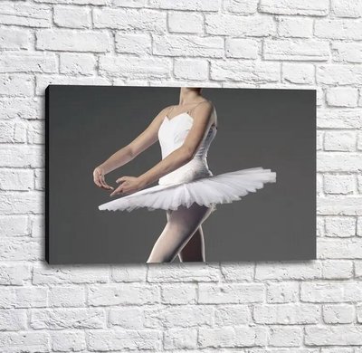 Poster Balerina într-o tutu albă, fundal gri, balet Tan18182 фото