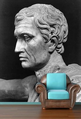 Fototapet Profil de bust al lui Iulius Caesar 3D1925 фото